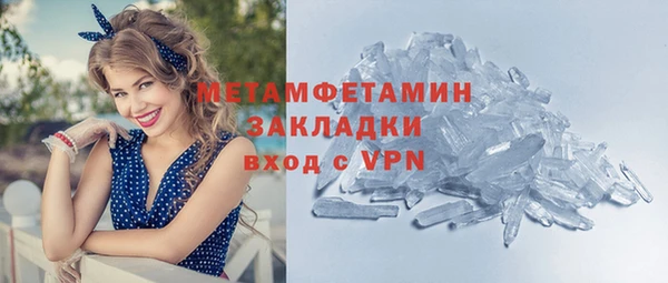 молекула духа Богданович