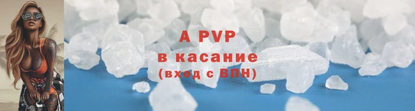 молекула духа Богданович