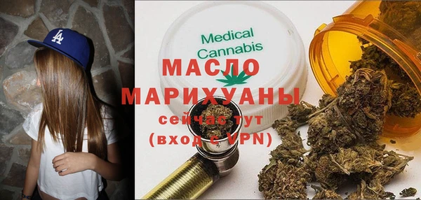 молекула духа Богданович