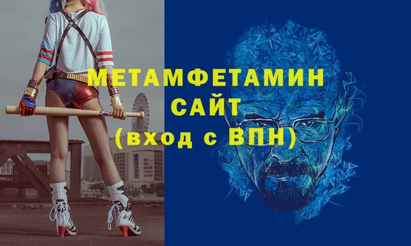 молекула духа Богданович