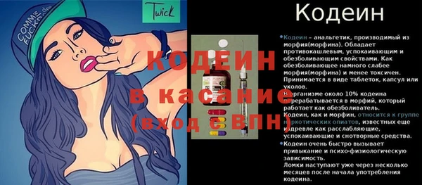 молекула духа Богданович