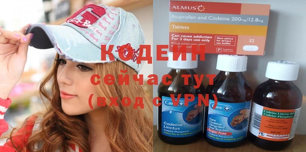 молекула духа Богданович