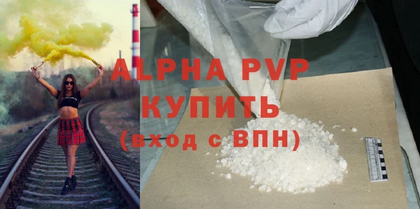 молекула духа Богданович